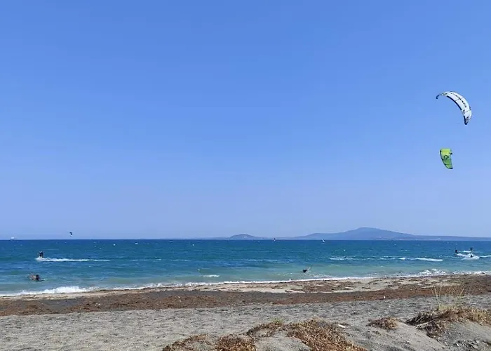 Palazzo Family Sunny